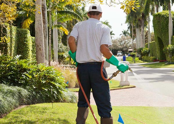 About Bluffton GA Pest Control Pros